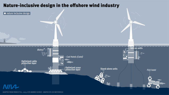 An illustration from the NiD4Ocean project with examples of nature-inclusive design in the offshore wind industry.