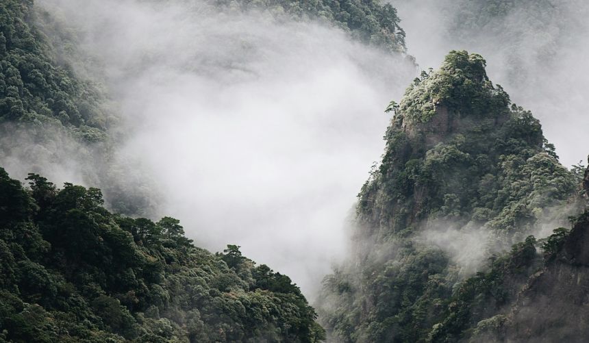 Tree-clad mountains in fog