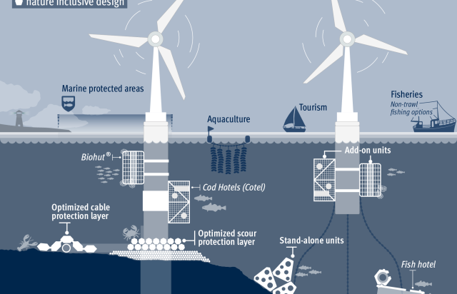 Figure offshore wind. 