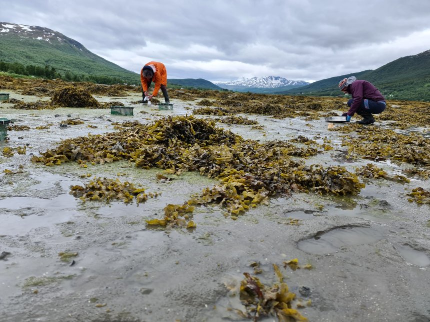 70 Forskere Skal Forske Fra Fjell Til Fjord | NIVA