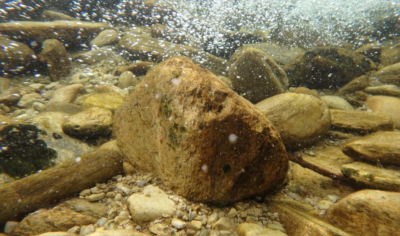 Underwater shot of rocks on river bed