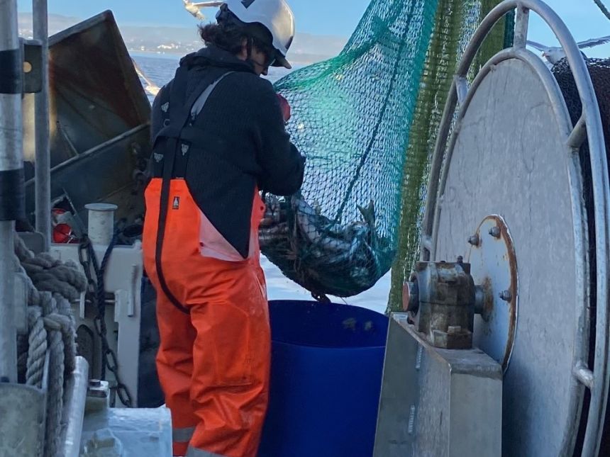 Person med vadebukser ved et fiskegarn