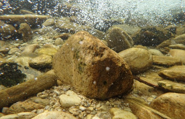 Underwater shot of rocks on river bed