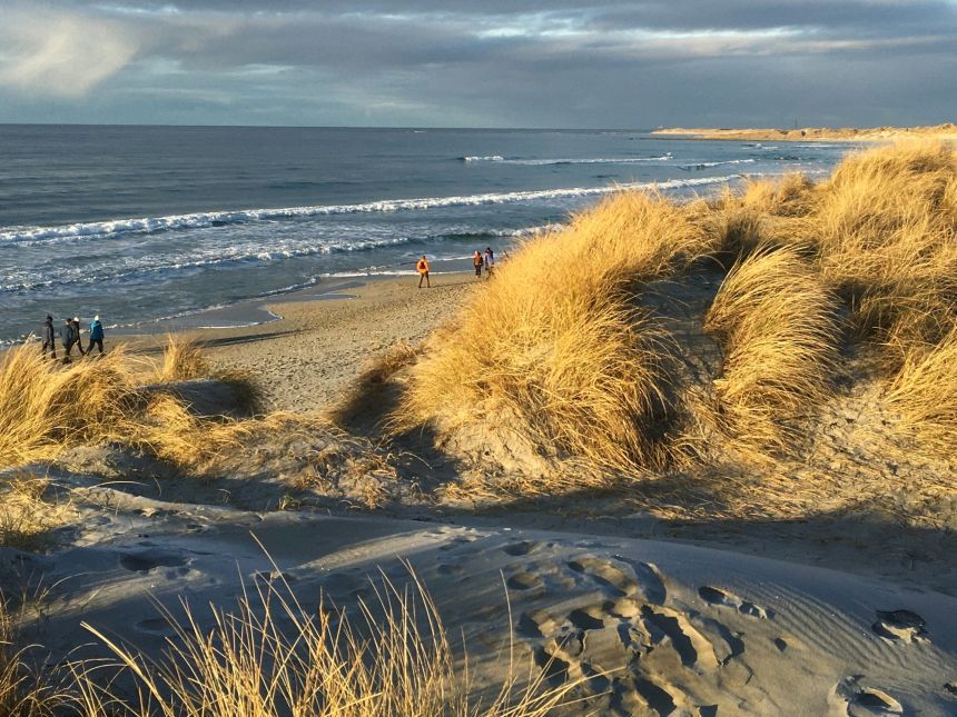 Strand med sjø i bakgrunnen