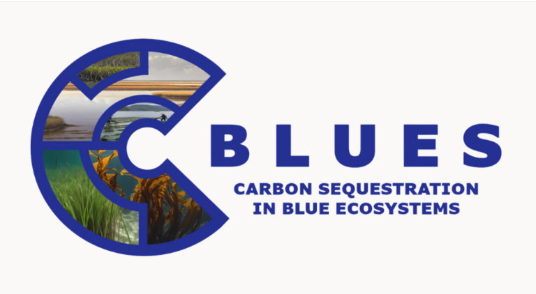 C-blues_logo-fixetrixe.png