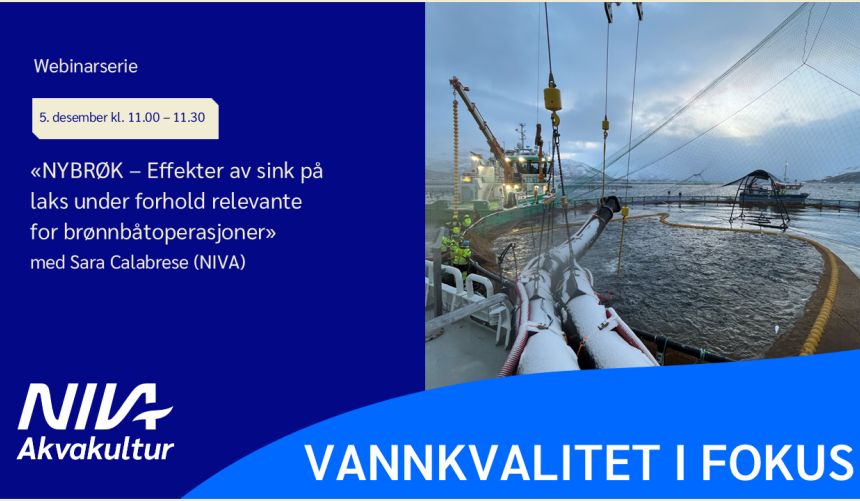 Bannerbilde med teksten 